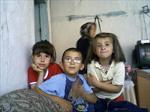 selim...