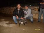 belgelerim...
