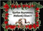 kurban bayrammz mubarek olsun