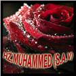 Hz.Muhammed (s.a.v)Allah´ın Peygamberidir.