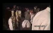 tekin g�ndo�du mamo...