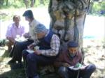 yayla...