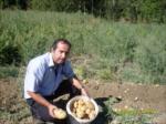 2010 patates toplnmas�...
