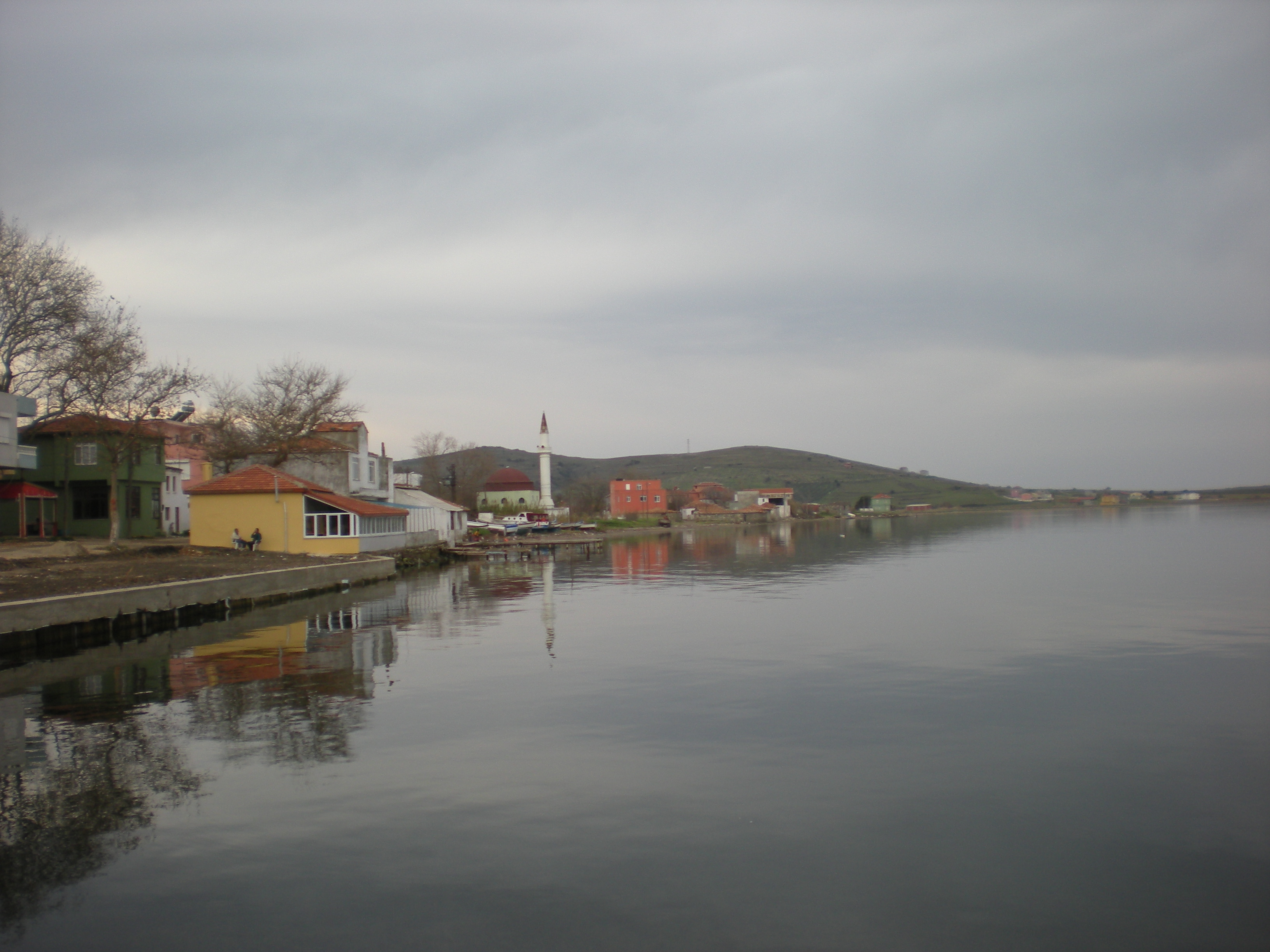 dscn0719...