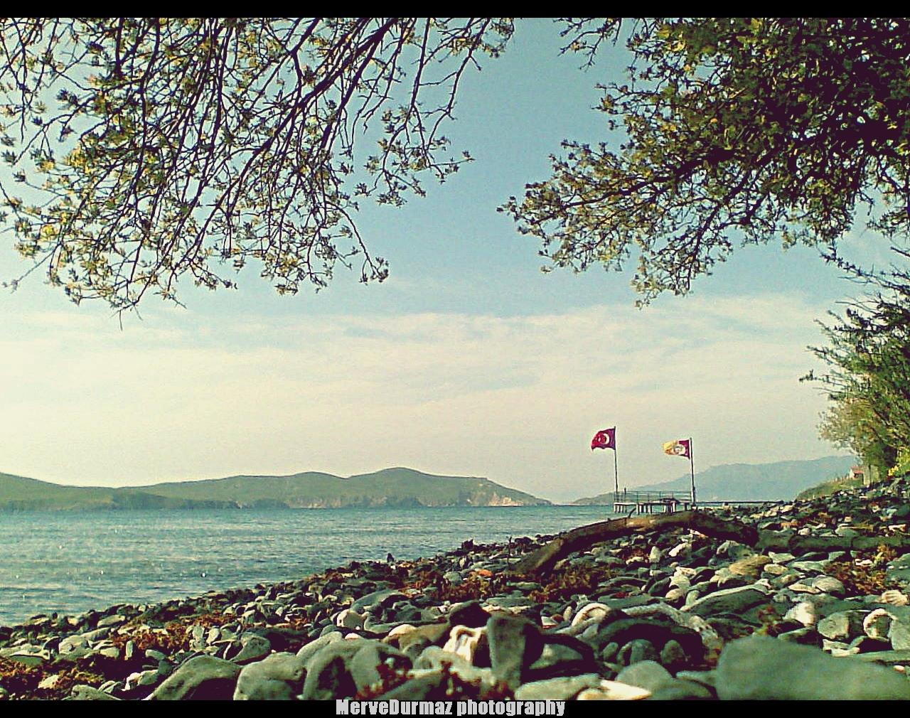 Pa�aliman� Köyü'09...