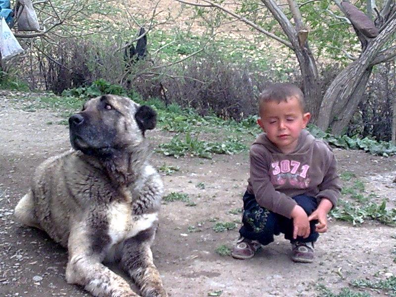 Madrag(Ge�itk�y)...