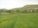 Ba�l�k Yok...