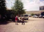 EN G�ZEL TEKMAN RES�MLER�...