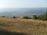 MANZARA 1...