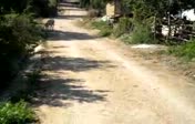 Yol �al��malar�...
