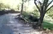 Yol2...