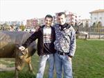 FER�DUN DEST�C�...