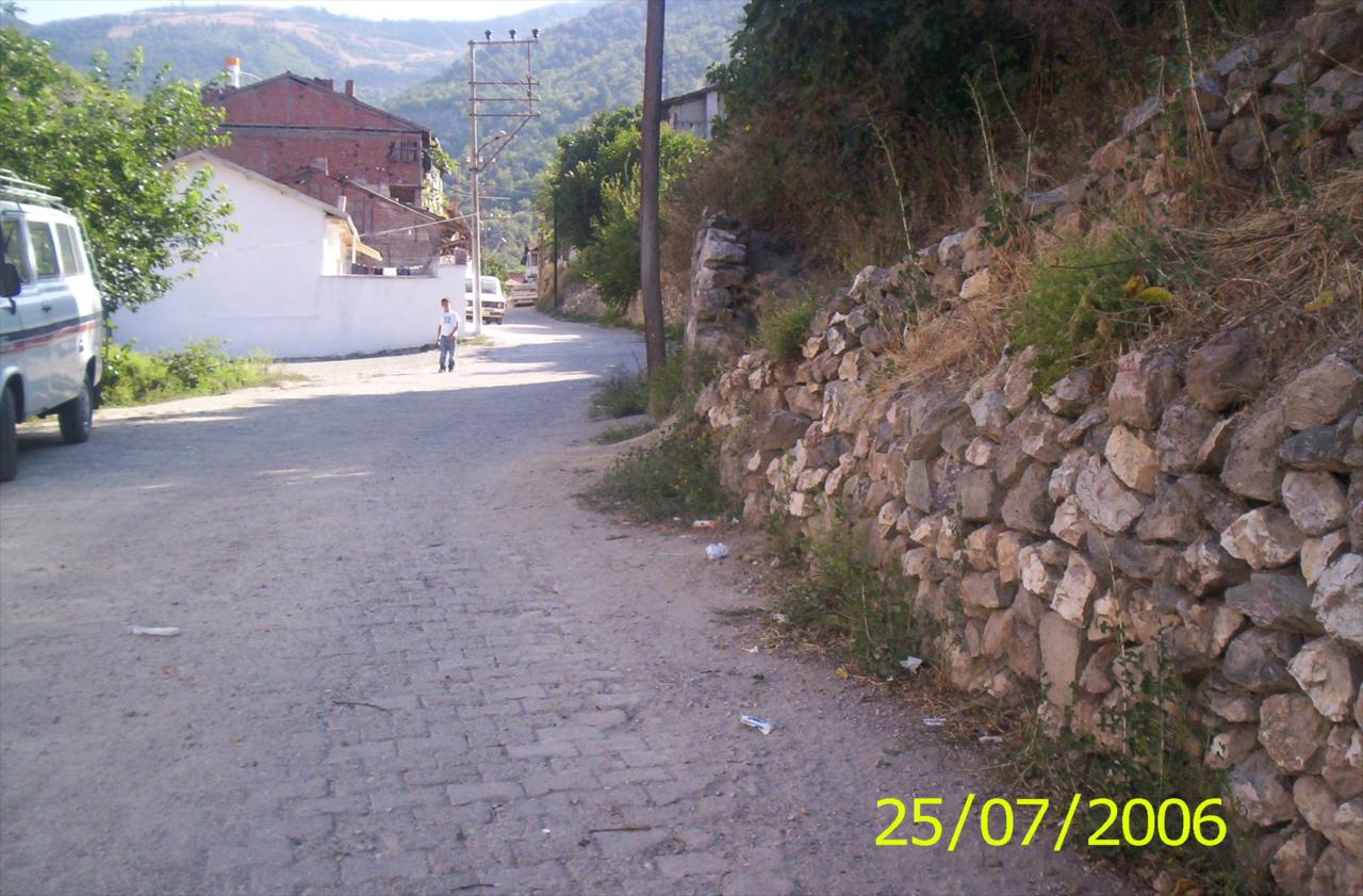 Ba�l�k Yok...